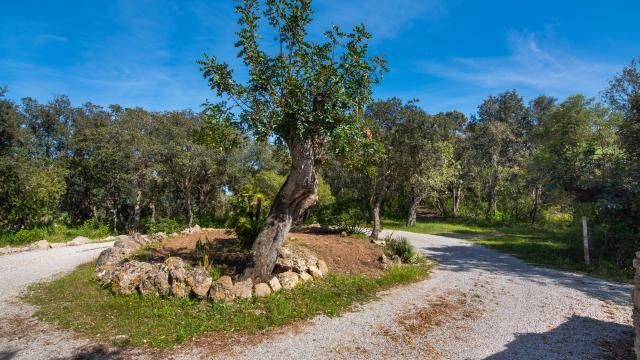 Rural Villa Na Creu Vella