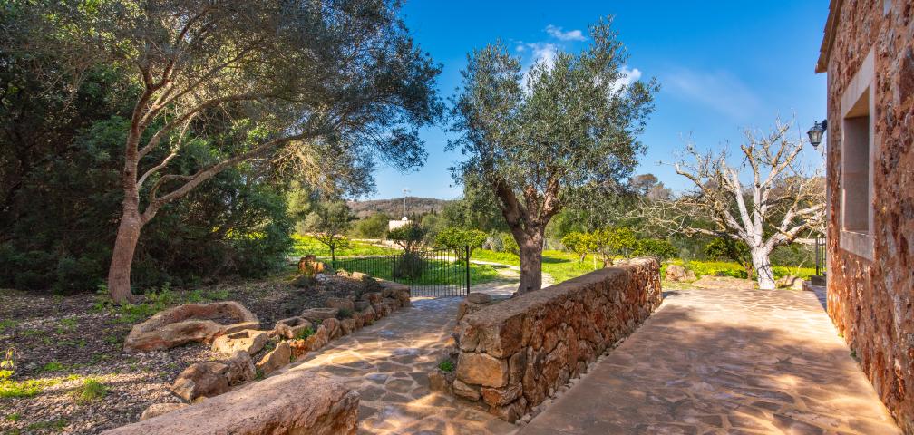 Rural Villa Son Barrigo