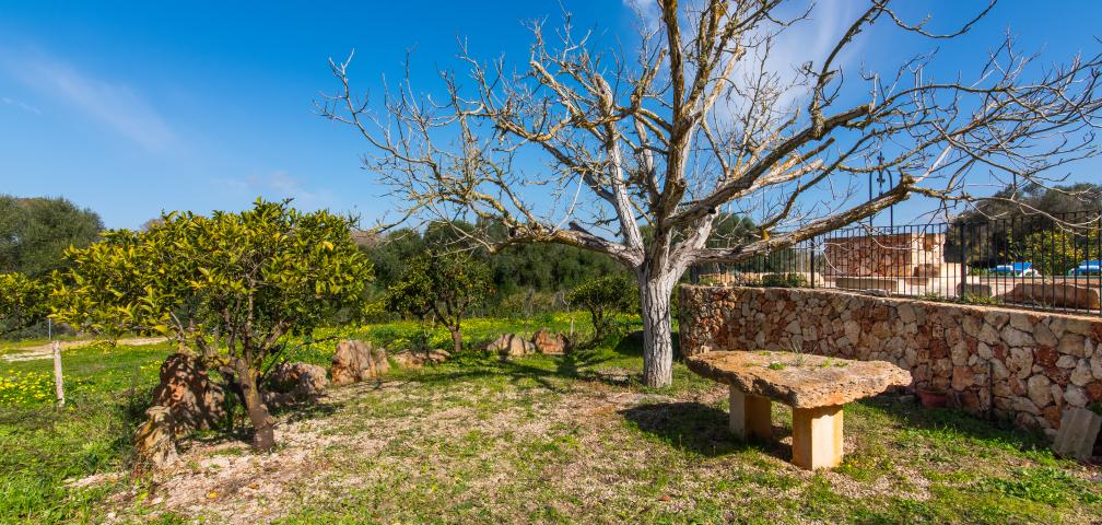 Rural Villa Son Barrigo
