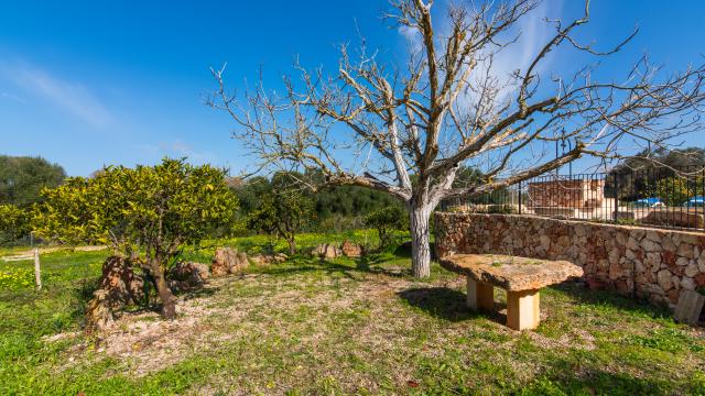 Rural Villa Son Barrigo