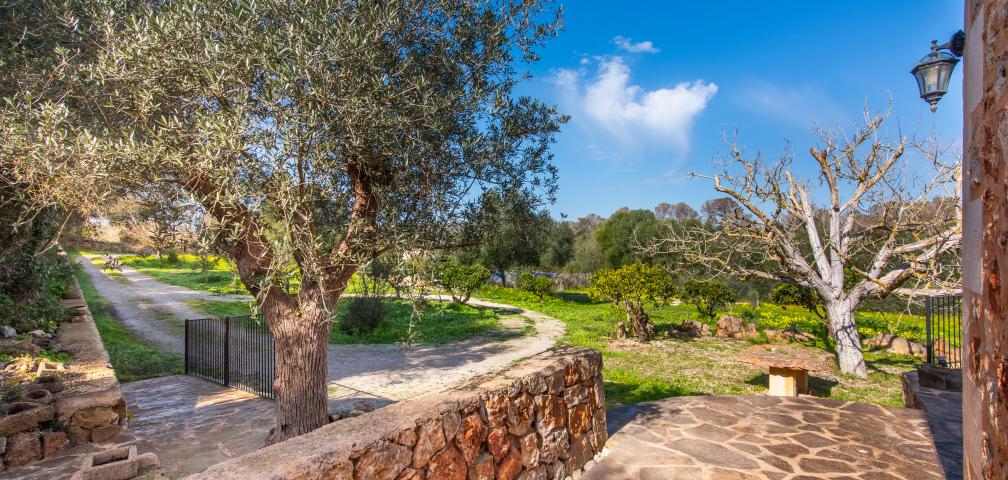 Rural Villa Son Barrigo