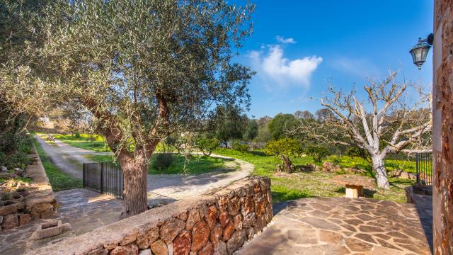 Rural Villa Son Barrigo