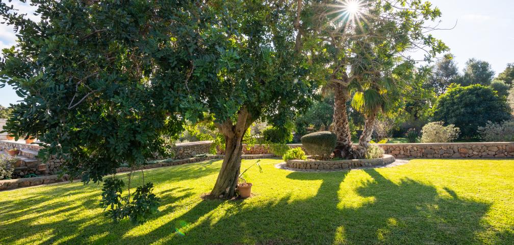 Rural Villa Can Matxet