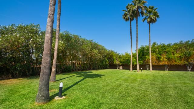 Rural Villa Son Rito