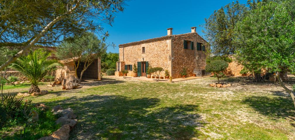 Rural Villa Son Dalabau