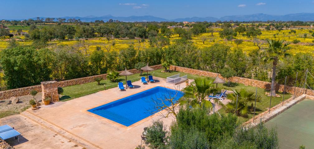 Rural Villa Son Dalabau