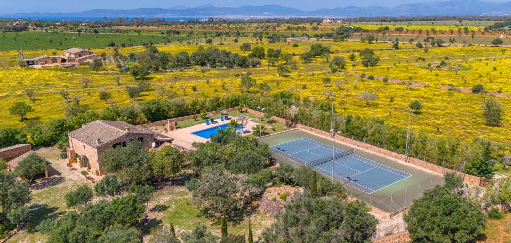 Rural Villa Son Dalabau