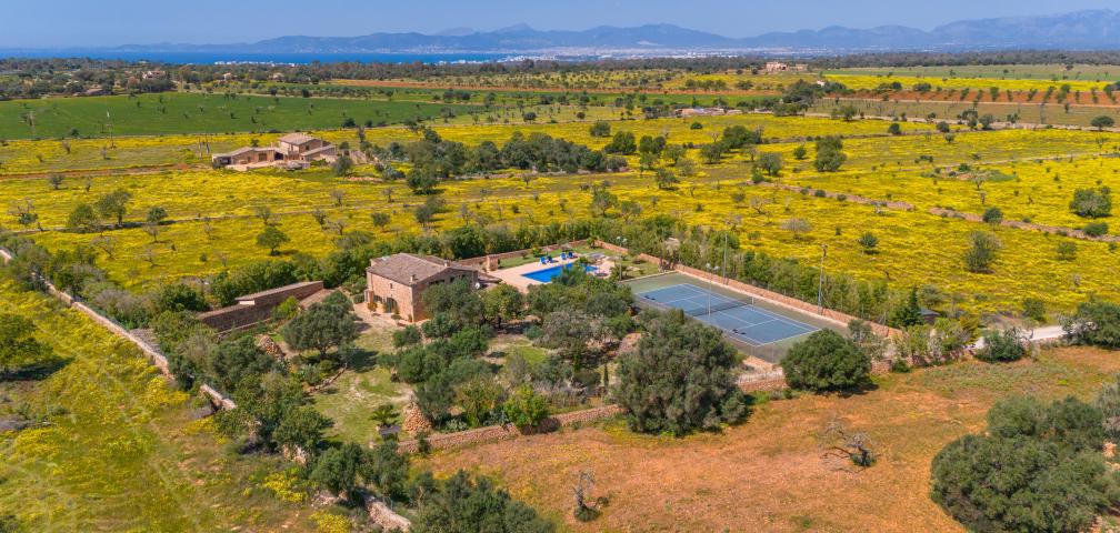 Rural Villa Son Dalabau