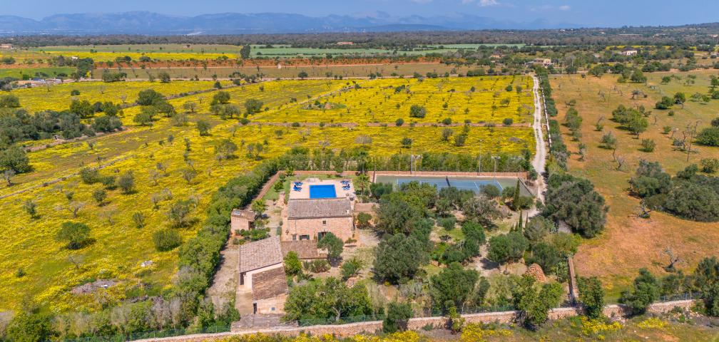 Rural Villa Son Dalabau