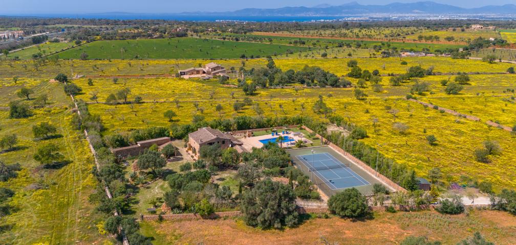 Rural Villa Son Dalabau