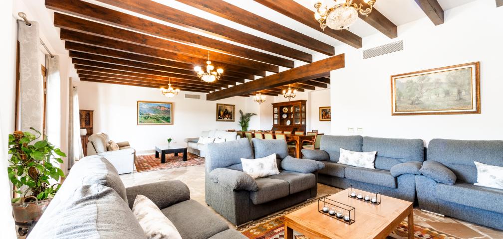 Rural Villa El Palmeral