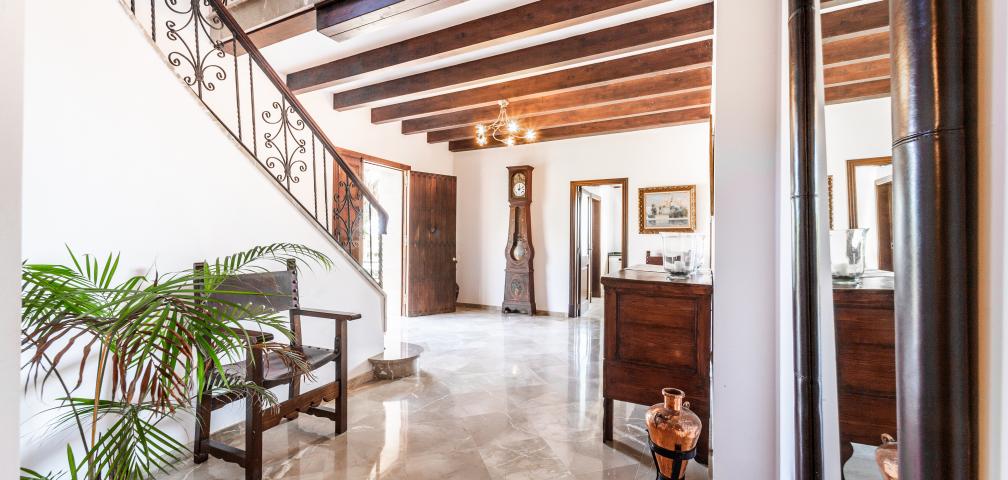 Rural Villa El Palmeral