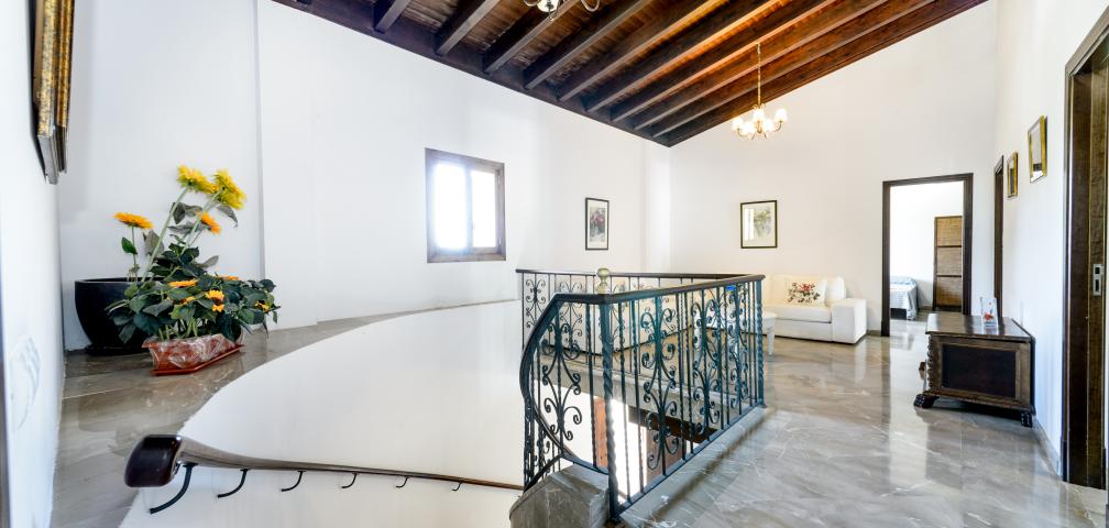 Rural Villa El Palmeral