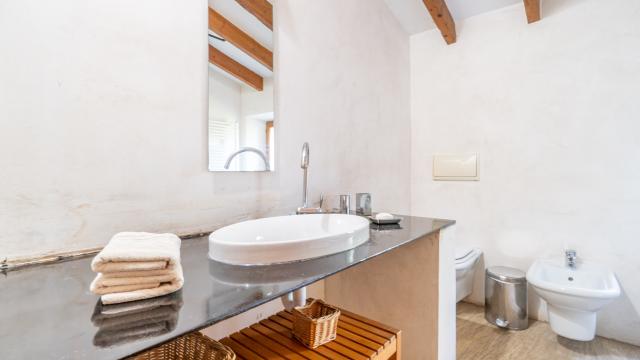 Rural Villa Son Pastor