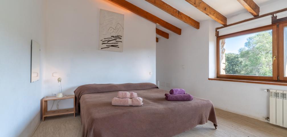 Rural Villa Son Pastor