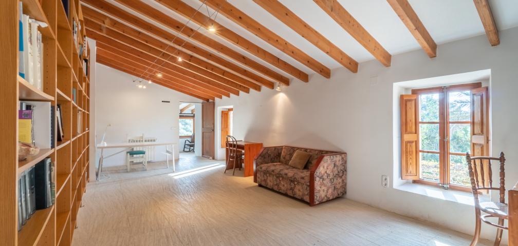 Rural Villa Son Pastor