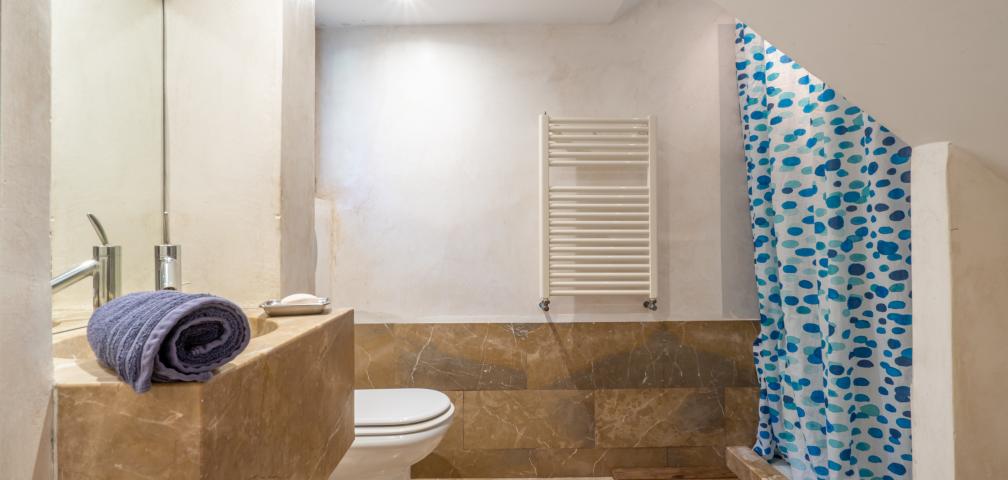 Rural Villa Son Pastor