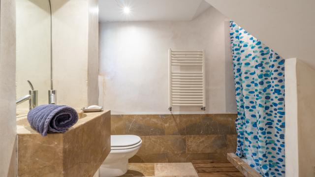 Rural Villa Son Pastor