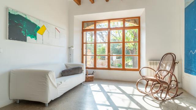 Rural Villa Son Pastor