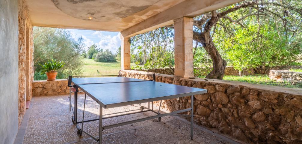 Rural Villa Son Pastor