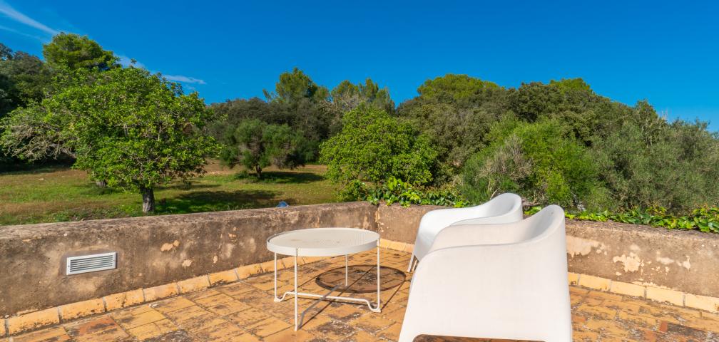 Rural Villa Son Pastor