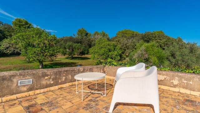 Rural Villa Son Pastor