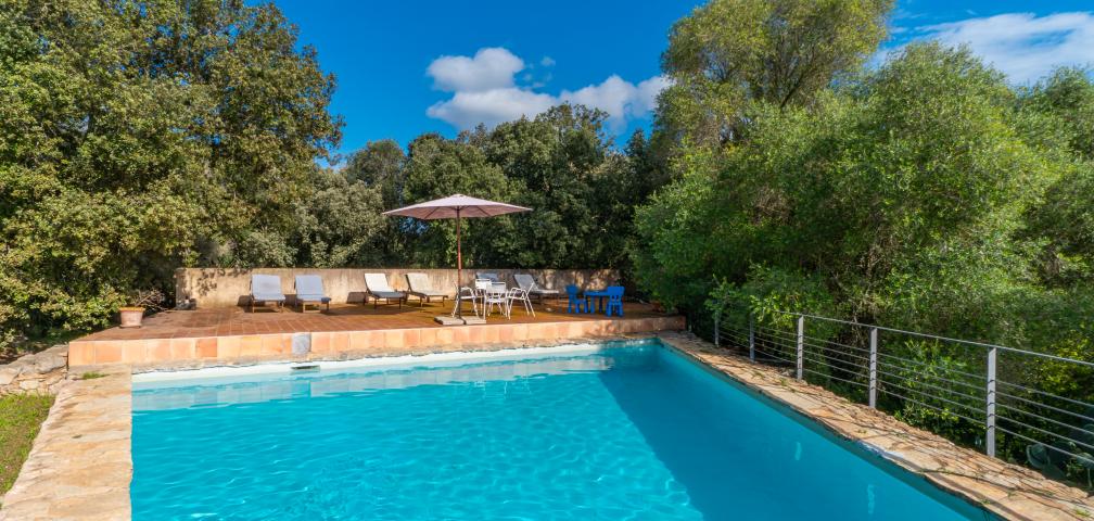 Rural Villa Son Pastor