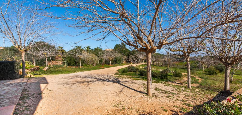 Rural Villa Can Mayol