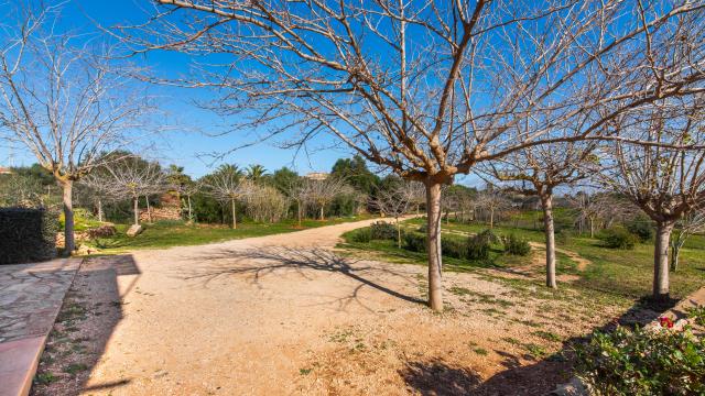 Rural Villa Can Mayol