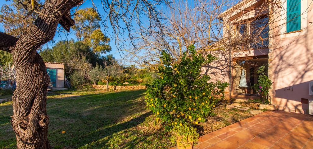 Rural Villa Can Mayol