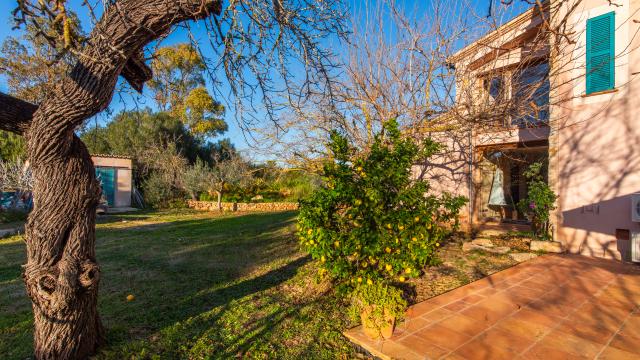 Rural Villa Can Mayol