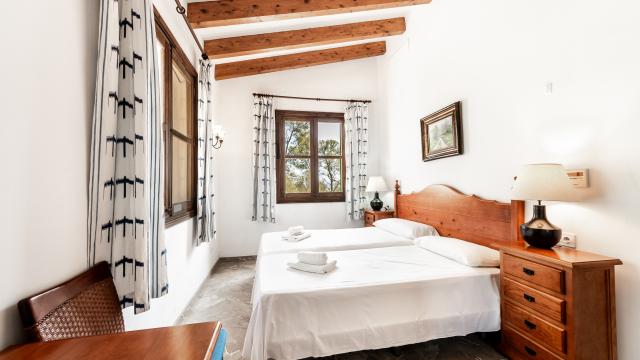 Rural Villa Son Capellet