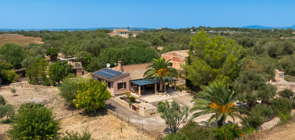 Rural Villa Son Fangos