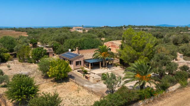 Rural Villa Son Fangos