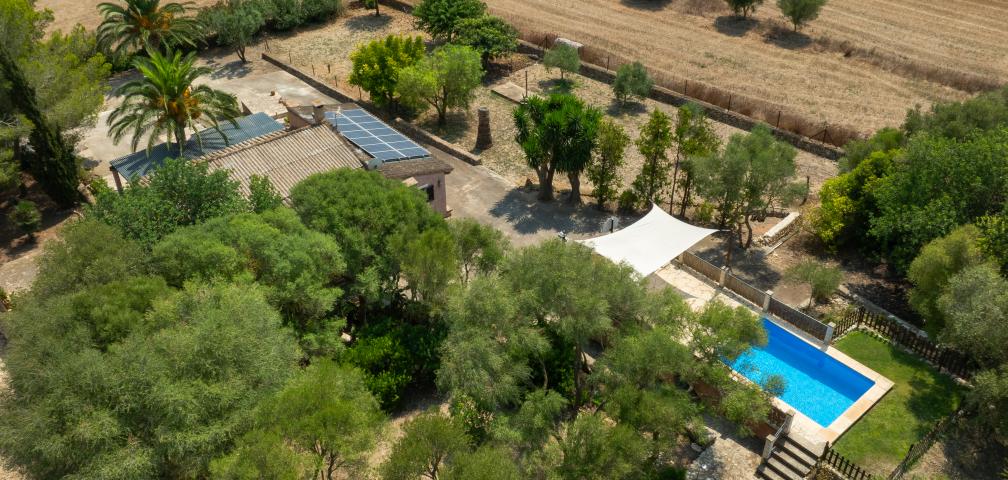 Rural Villa Son Fangos