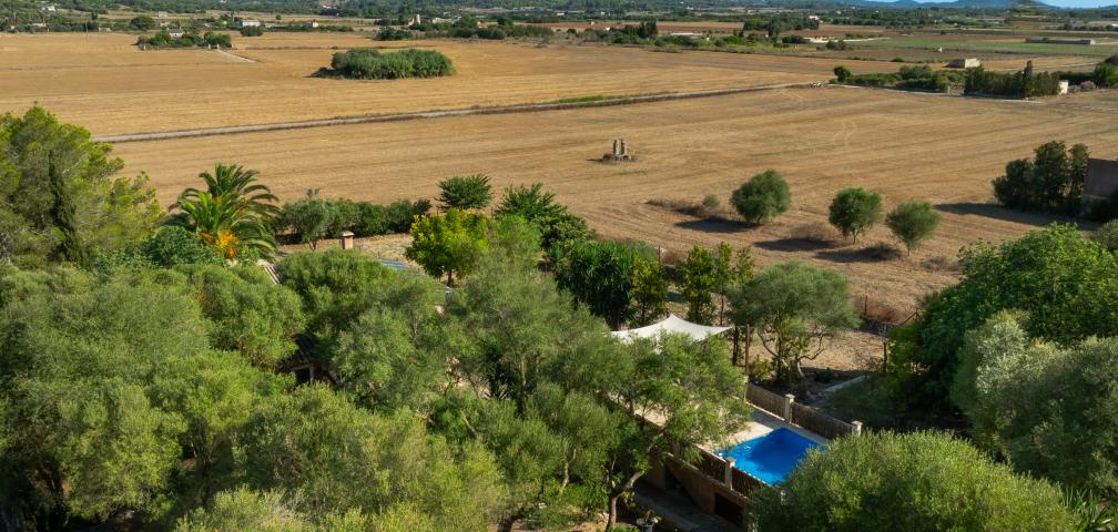 Rural Villa Son Fangos