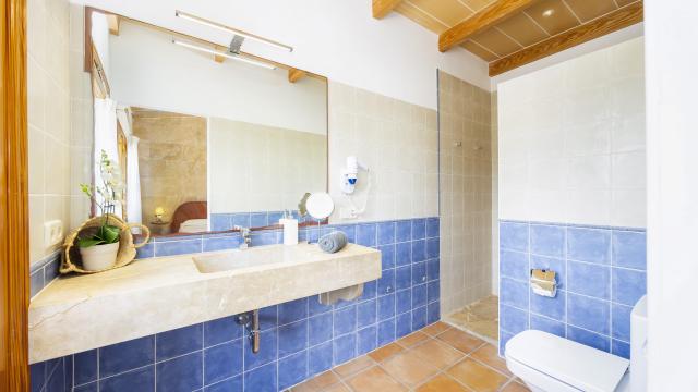 Rural Villa Son Colom