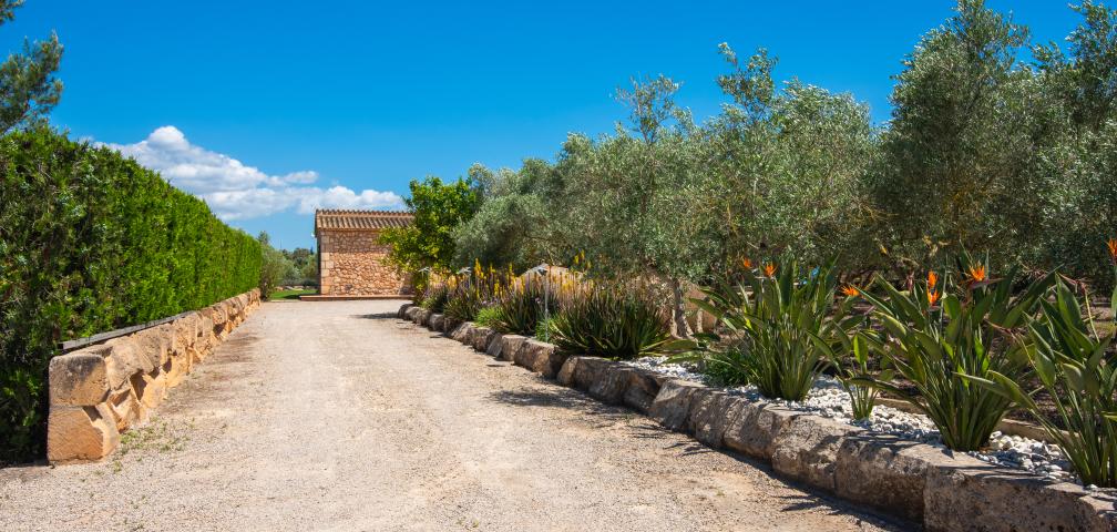 Rural Villa Sa Finca