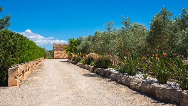 Rural Villa Sa Finca
