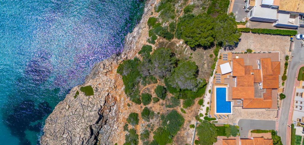 Urban Villa Jardín del Rey