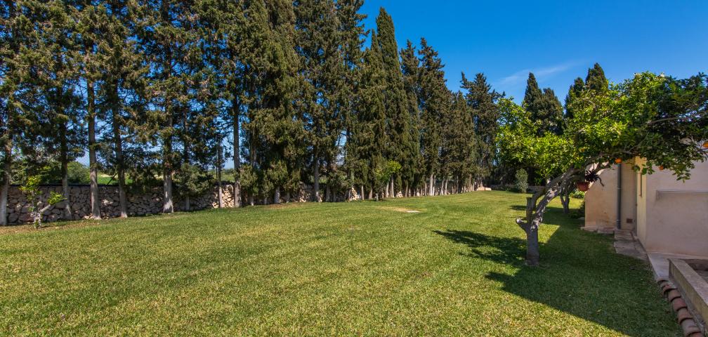 Rural Villa Sa Vinya des Compte