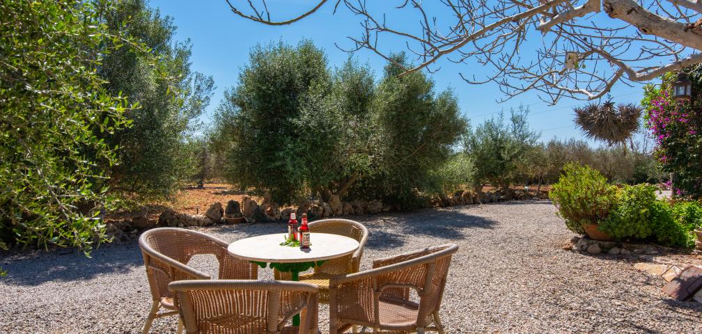 Rural Villa Sa Vinya des Compte