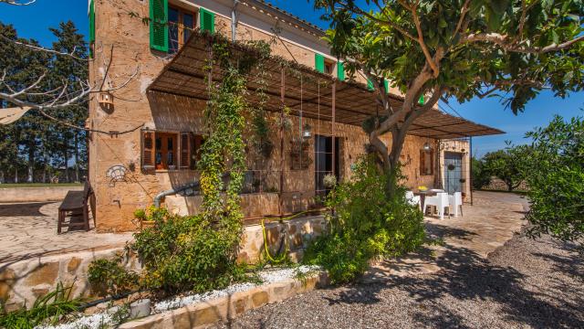 Finca Sa Vinya des Compte