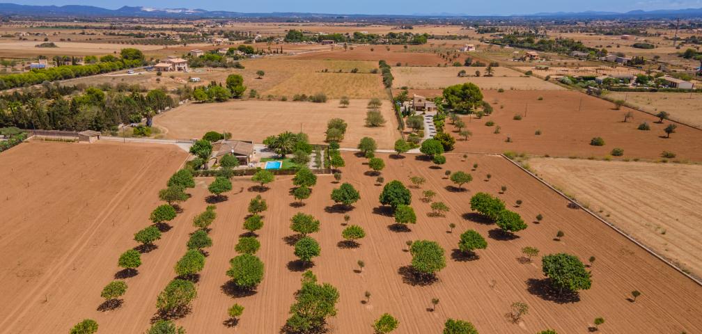 Rural Villa Marina des Trenc