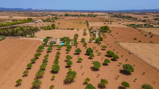 Rural Villa Marina des Trenc