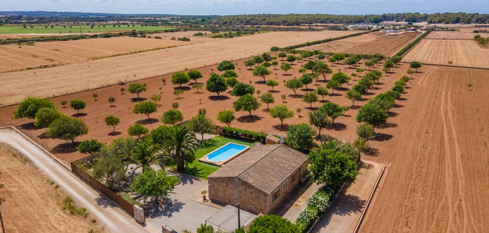 Rural Villa Marina des Trenc