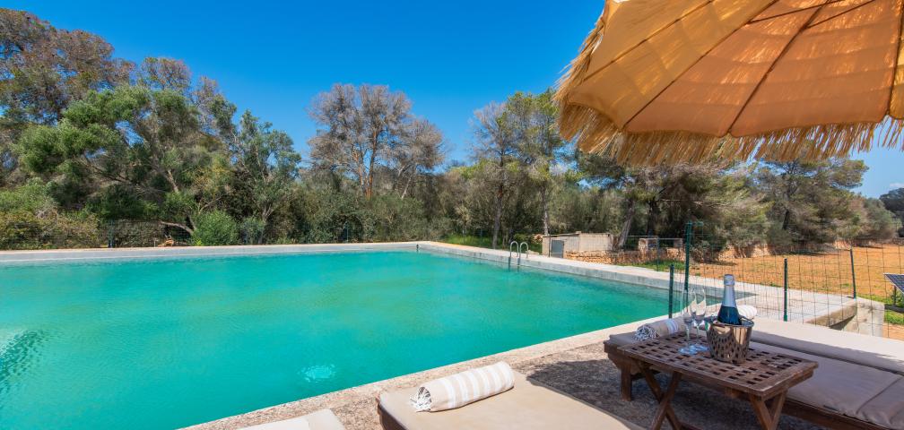 Pleta de Son Delabau