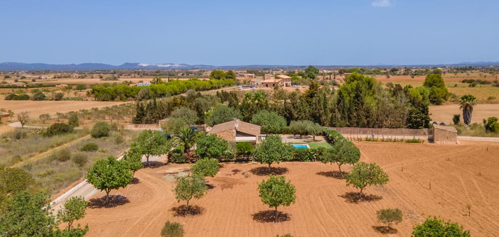 Rural Villa Marineta des Trenc