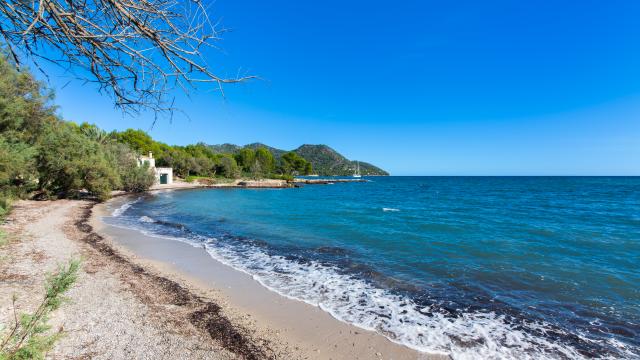 Rural Villa Sa Plana de Baix