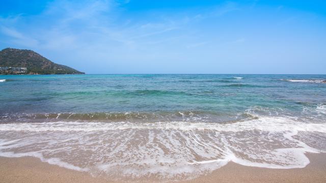 Rural Villa Es Raconet